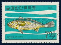 Yellow corvina