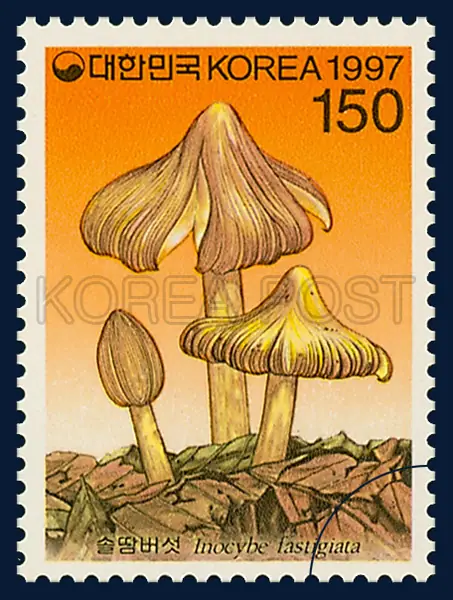 Inocybe fastigiata(Schaeff.)Quel. Single stamp
