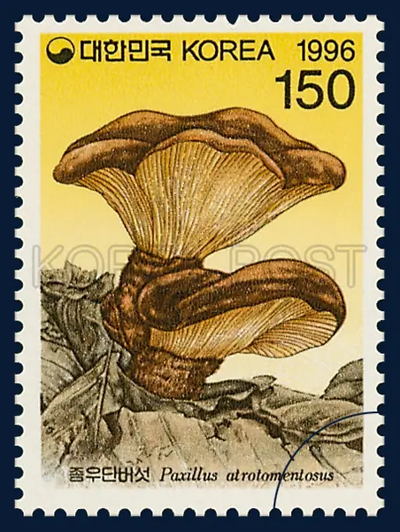 Paxillus atrotomentosus Fr. Single stamp