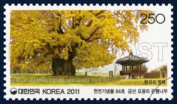 Geumsan Yogwang-ri Ginkgo Tree Single stamp