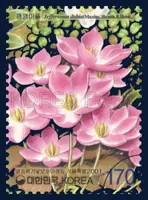 Jeffersonia dubia (Maxim.) Benth. &Hook