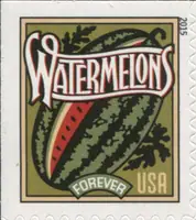 Summer Harvest - Watermelons