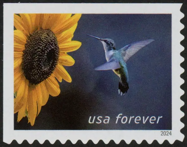 Garden Delights - The ruby-throated hummingbird (Archilochus colubris)