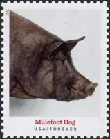 Heritage breeds