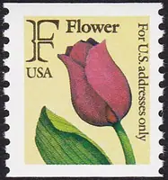 flower, p. 10v