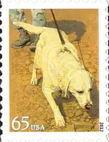 Dogs at Work