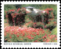 American gardens - Norfolk Botanical Garden (Virginia)