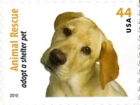 Animal Rescue - Adopt a Shelter Pet - Dogs & Cats