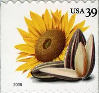 Crops of the Americas - Sunflowers