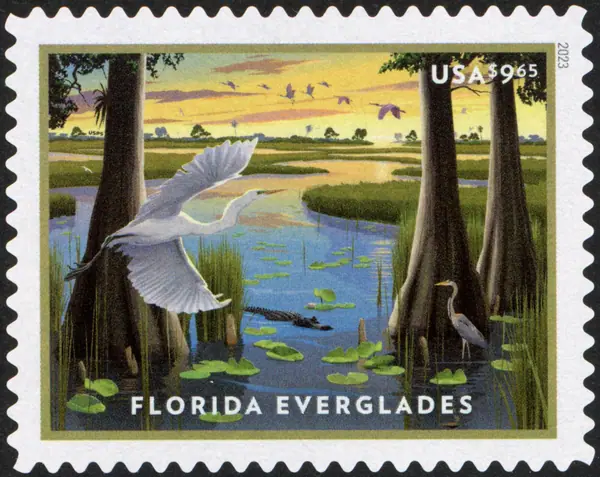 Florida Everglades