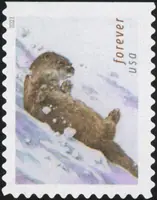 Otters in snow