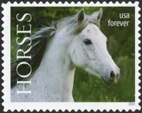Horses