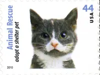 Animal Rescue - Adopt a Shelter Pet - Dogs & Cats