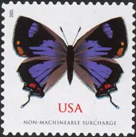 Insects - Colorado hairstreak (Hypaurotis crysalus)