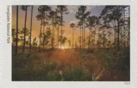 National Parks - Everglades National Park