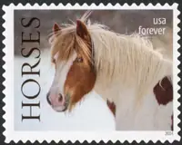 Horses