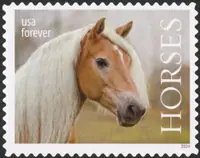 Horses