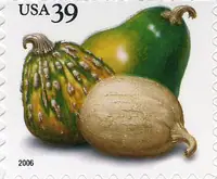 Crops of the Americas - Squash