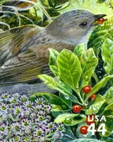 Hawaiian Rain Forest - Nature of America - Oma'o