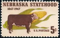 cow & ear of corn
