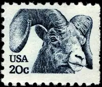 Rocky Mountain bighorn