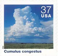 Cloudscapes - Cumulus congestus