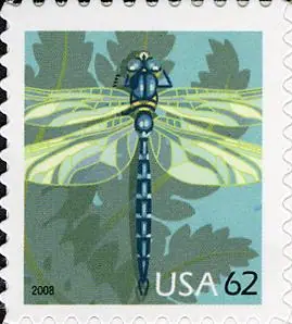 Dragonfly
