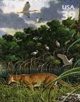 Nature of America - Southern Florida Wetland - Red Mangrove & Florida Panther