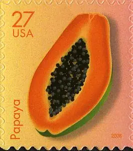 Tropical Fruit - Papaya