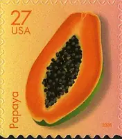 Tropical Fruit - Papaya