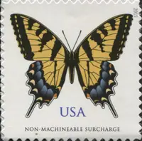 Eastern Tiger Swallowtail (Butterfly)
