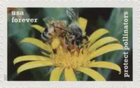 Protect Pollinators