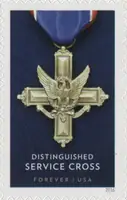 Honouring Extraordinary Heroism - The Service Cross Medals - Distinguished Service Cross