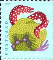 Coral Reefs