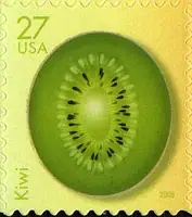 Tropical Fruit - Kiwi