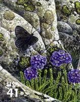 Nature of North America - Alpine Tundra - Magdalena Alpine Butterfly & Sky Pilot