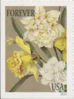 Botanical Art