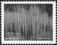 Ansel Adams