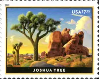 Joshua Tree