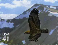 Nature of North America - Alpine Tundra - Golden Eagle