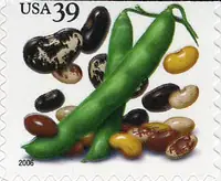 Crops of the Americas - Beans