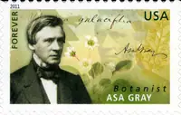 Botanist Asa Gray