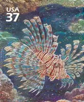 Pacific Coral Reef - Lionfish