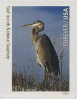 National Parks - Gulf Islands National Seashore