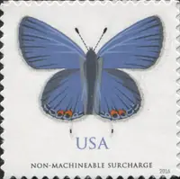 Eastern Tailed-Blue (Butterfly)