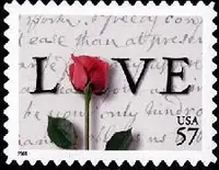 rose & love letter