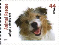 Animal Rescue - Adopt a Shelter Pet - Dogs & Cats