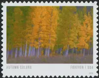 Autumn Colors