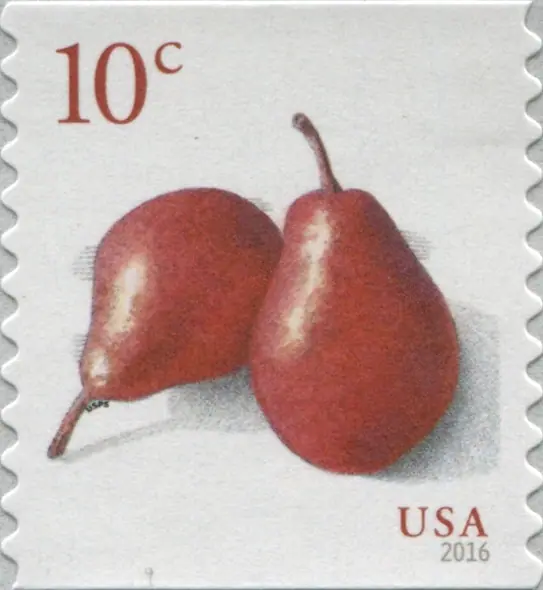 Red pear