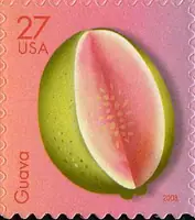 Tropical Fruit - Guava